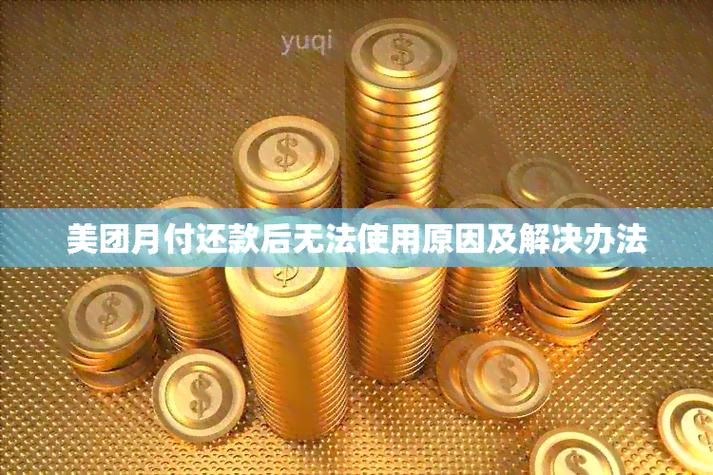 美团还款怎么还不了