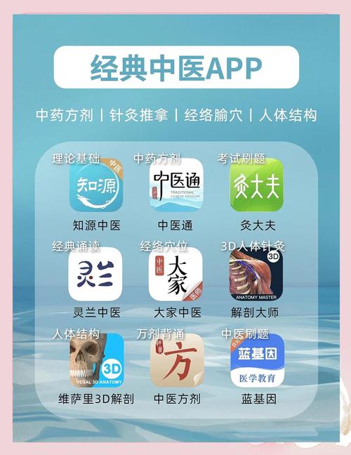 关于中医经络的app