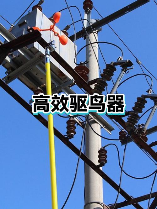 鸟怕什么气味什么赶走它