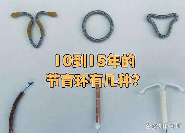 背单词的记忆周期
