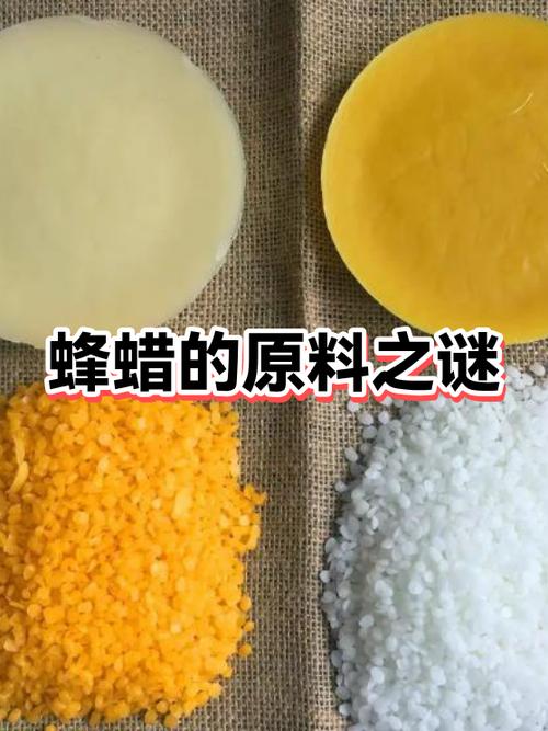蜜蜂会水土不服吗