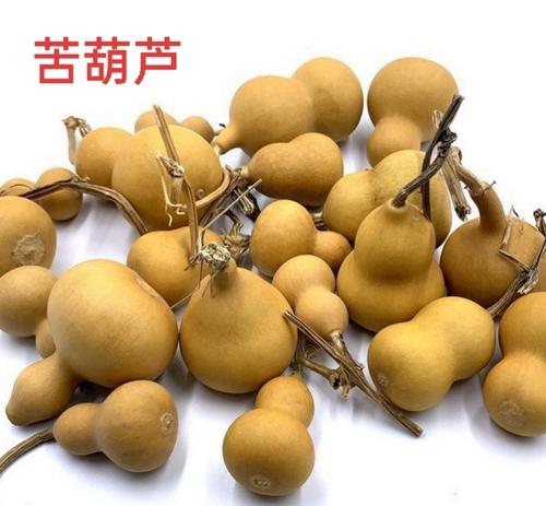 药葫芦学名叫什么