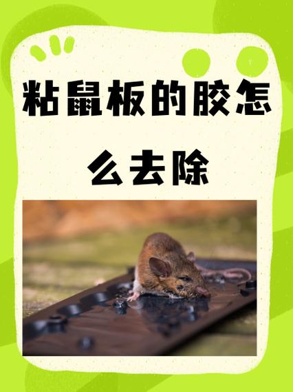 粘鼠板的胶怎么去除截图