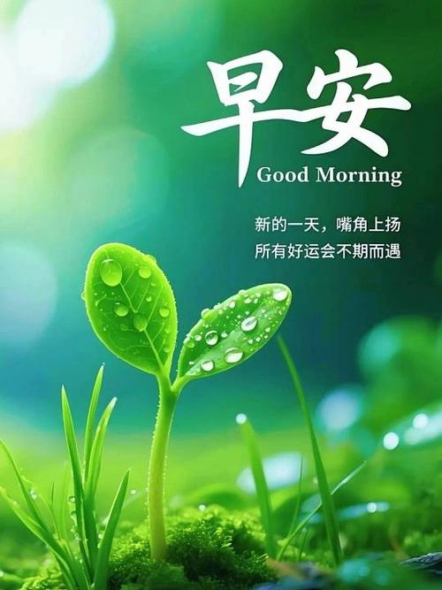 今日正能量分享