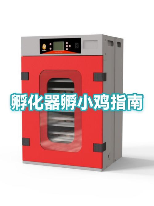 怎么孵化小鸡