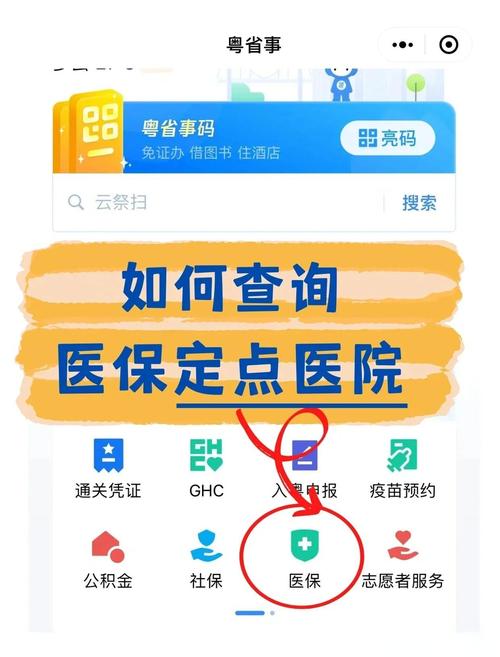 如何查询医保定点医院