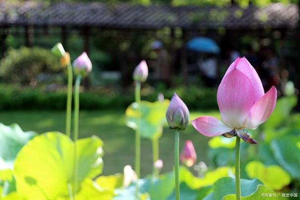 迷你小风扇