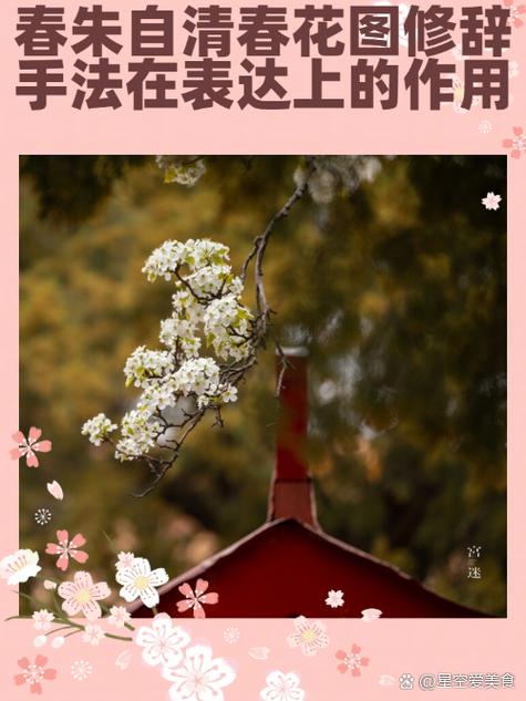 不与百花争荣耀