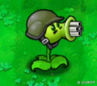 植物大战僵尸机枪豌豆射手缩略图