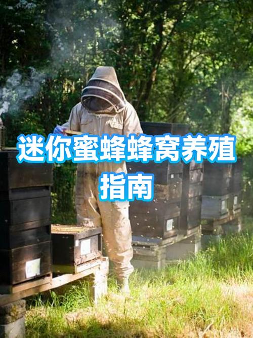 迷你蜜蜂