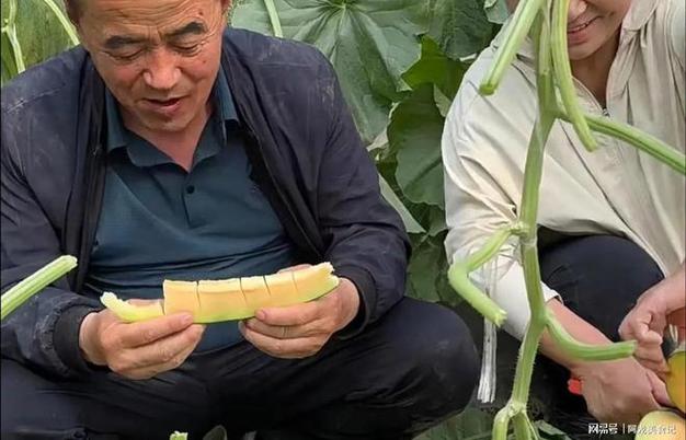 是维谁考证的王婆卖的是哈蜜瓜