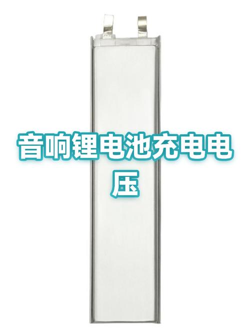 音响电压是多少伏的