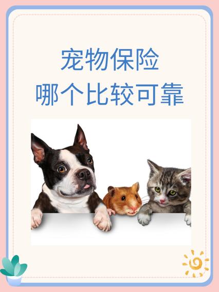 有宠物保险吗