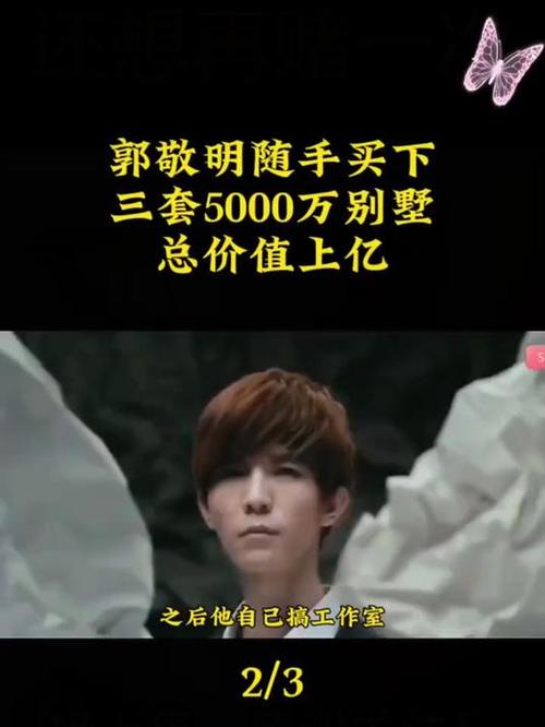 郭敬明资产一共多少亿