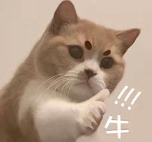 夸赞图片 表情包