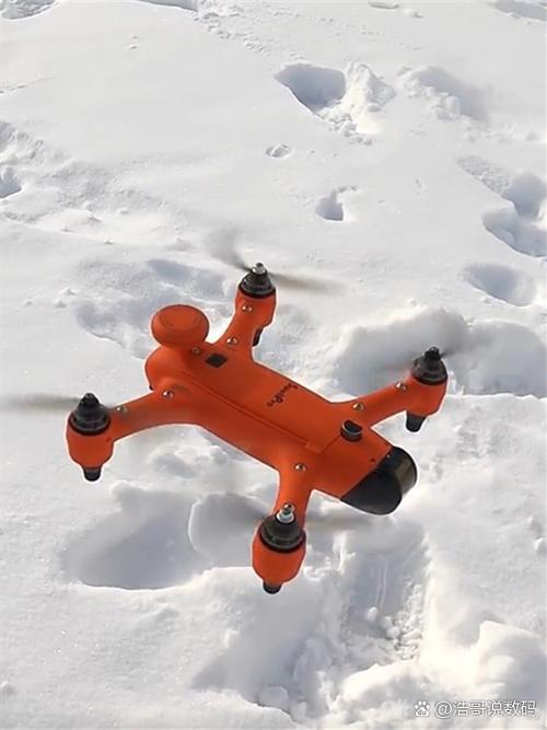 如何在冰天雪地生存