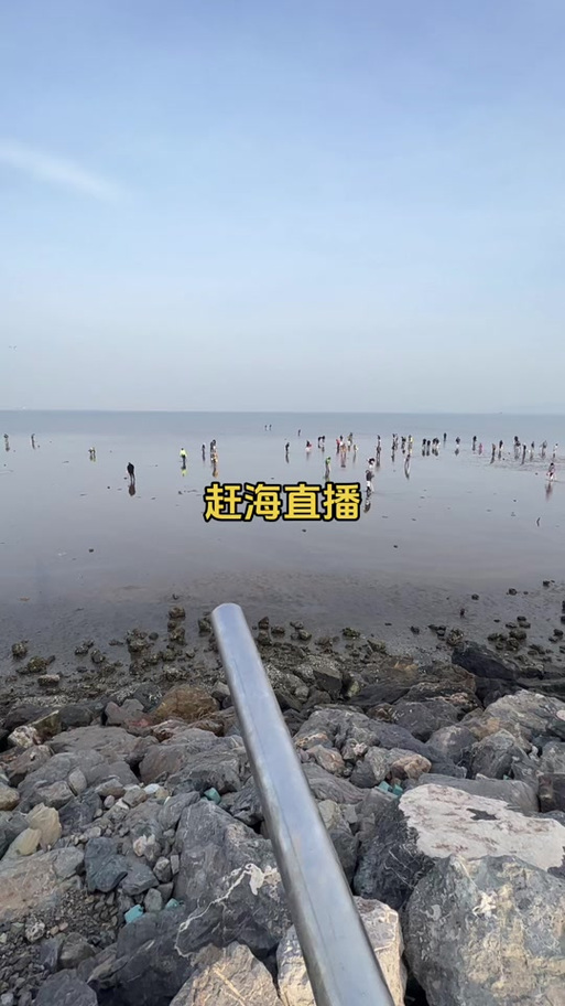 乡村赶海直播