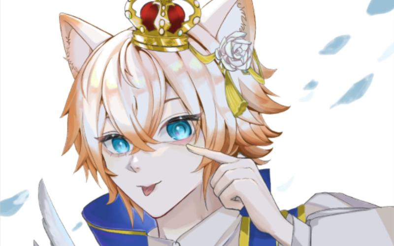 猫咪王子