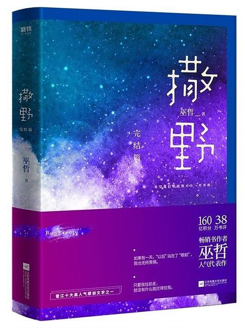 小说撒野讲了什么