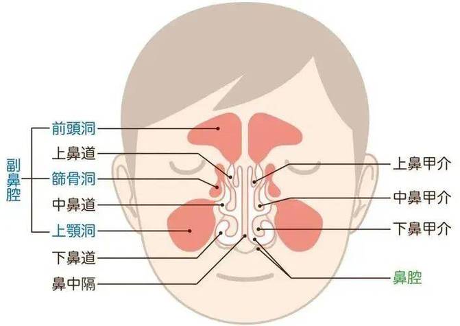 为什么鼻腔里面有很多黄鼻涕带有血