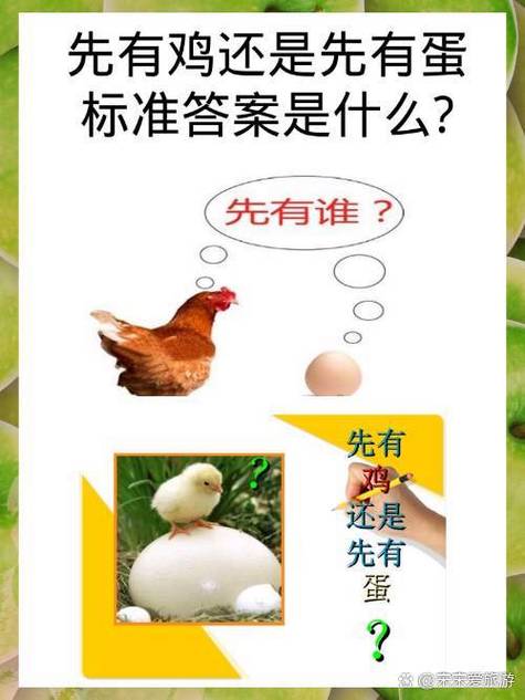 先有鸡还是先有蛋标准答案图标