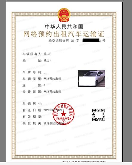 支付宝如何查驾照信息查询