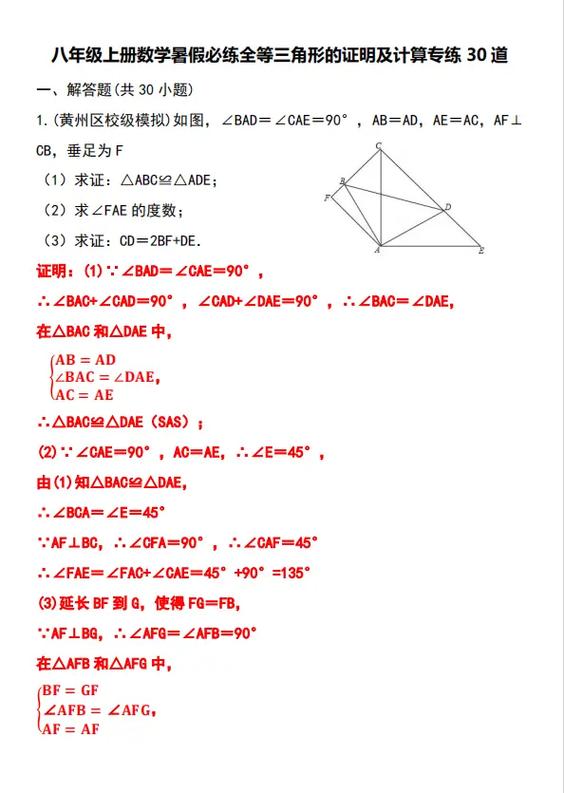 八上数学补充答案05网