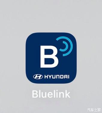 bluelink vin
