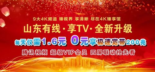 山东享tv安装