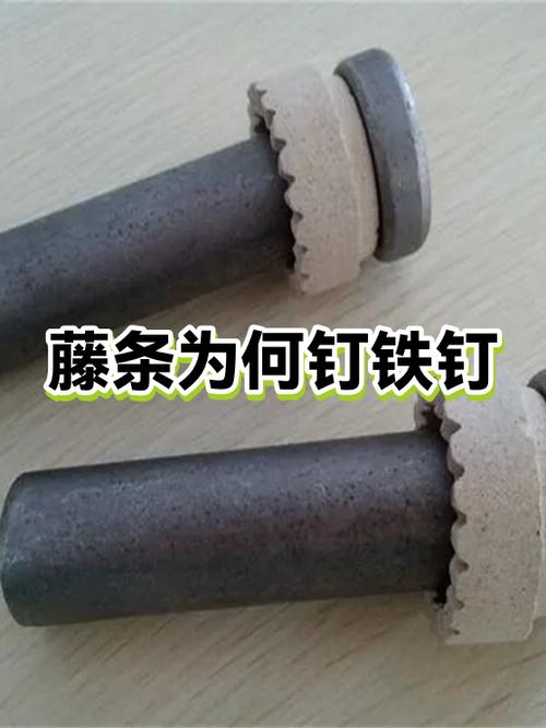 合同钉子钉在哪里