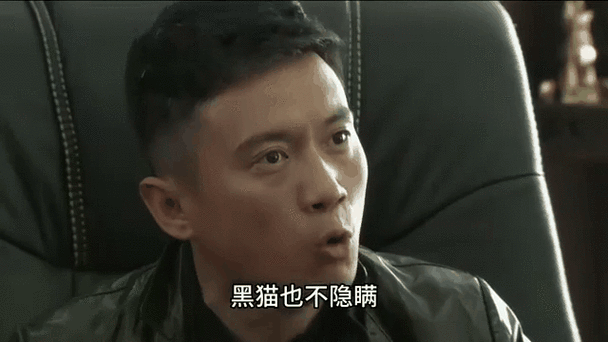 重生特种兵之我是黑猫
