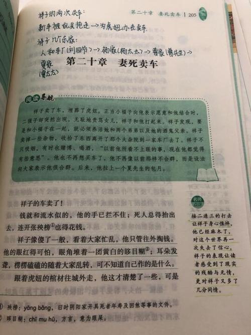 第二十章双修神功