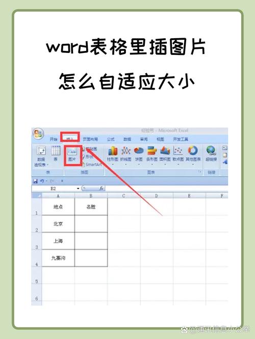 word内容适应页面大小