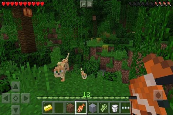 minecraft1.14基岩版下载多多软件站
