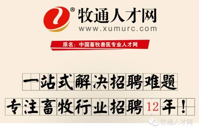 牧通网人才招聘网