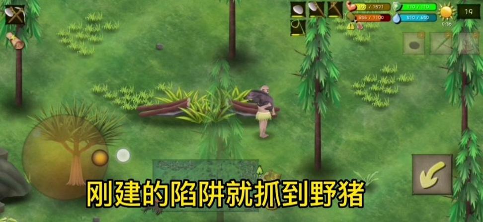挨饿荒野野猪在哪里捕