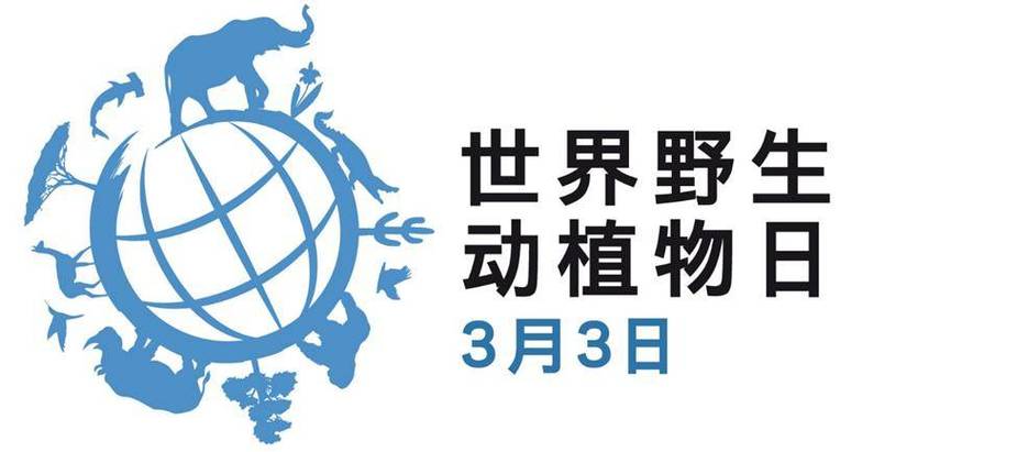 联合国动物保护组织官网