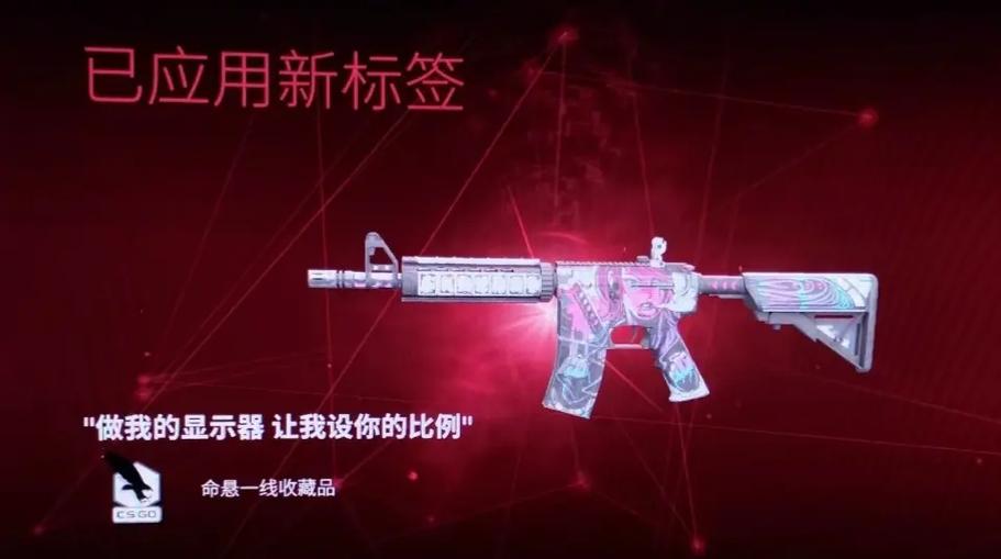 csgo武器皮肤改名限制