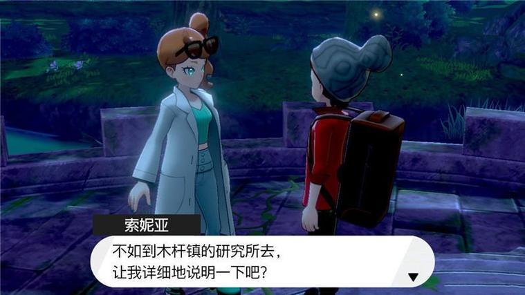 口袋妖怪剑盾木杆镇