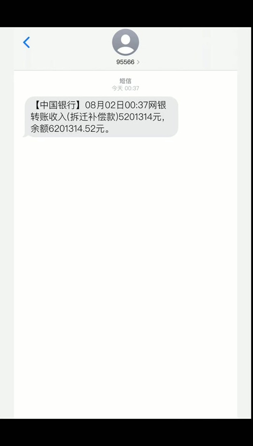 中国银行短信提醒欠费游戏截图