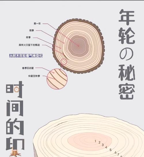 年轮3安卓下载官网