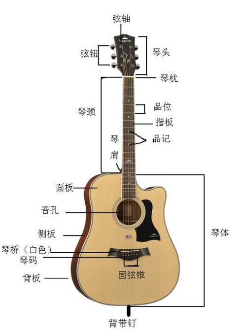 新手吉他教学入门零基础