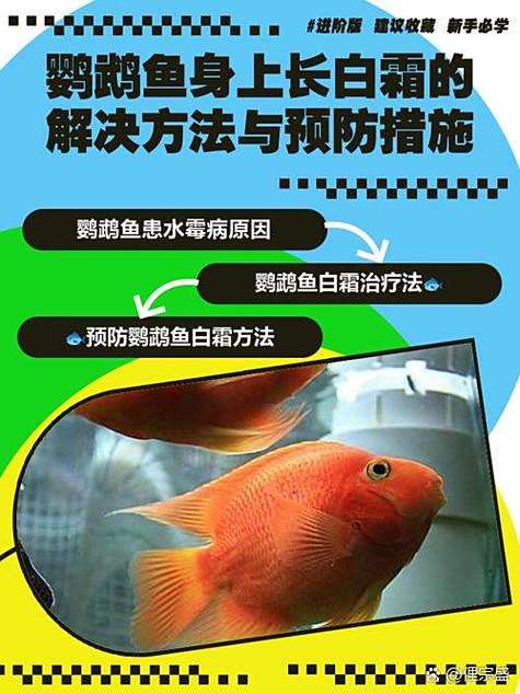 鱼身上有白霜的原因