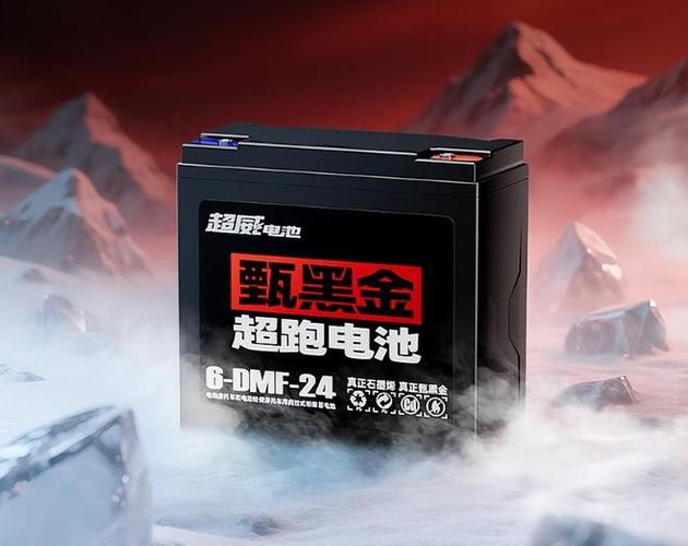 电动二轮车锂电池的价格