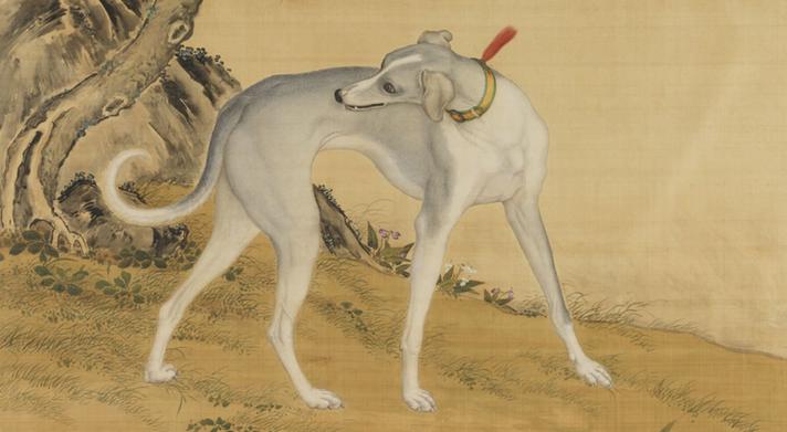 哮天犬网站资料