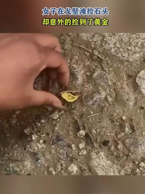 找金子神器