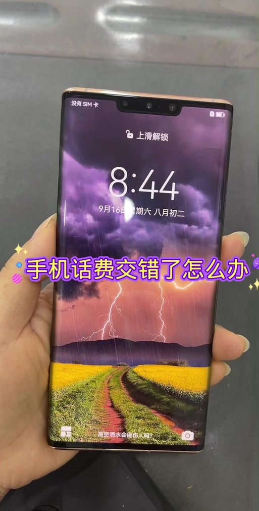 话费交错了怎么退回来游戏截图