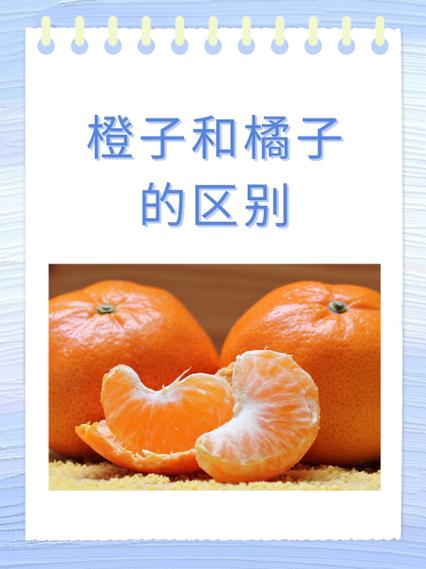 减肥期间橙子和橘子能吃么