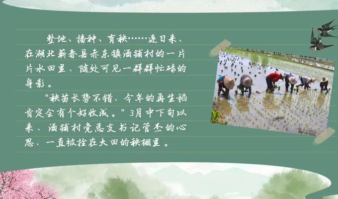 春耕的美好句子