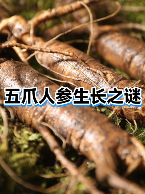 生物的由小长大是由于什么